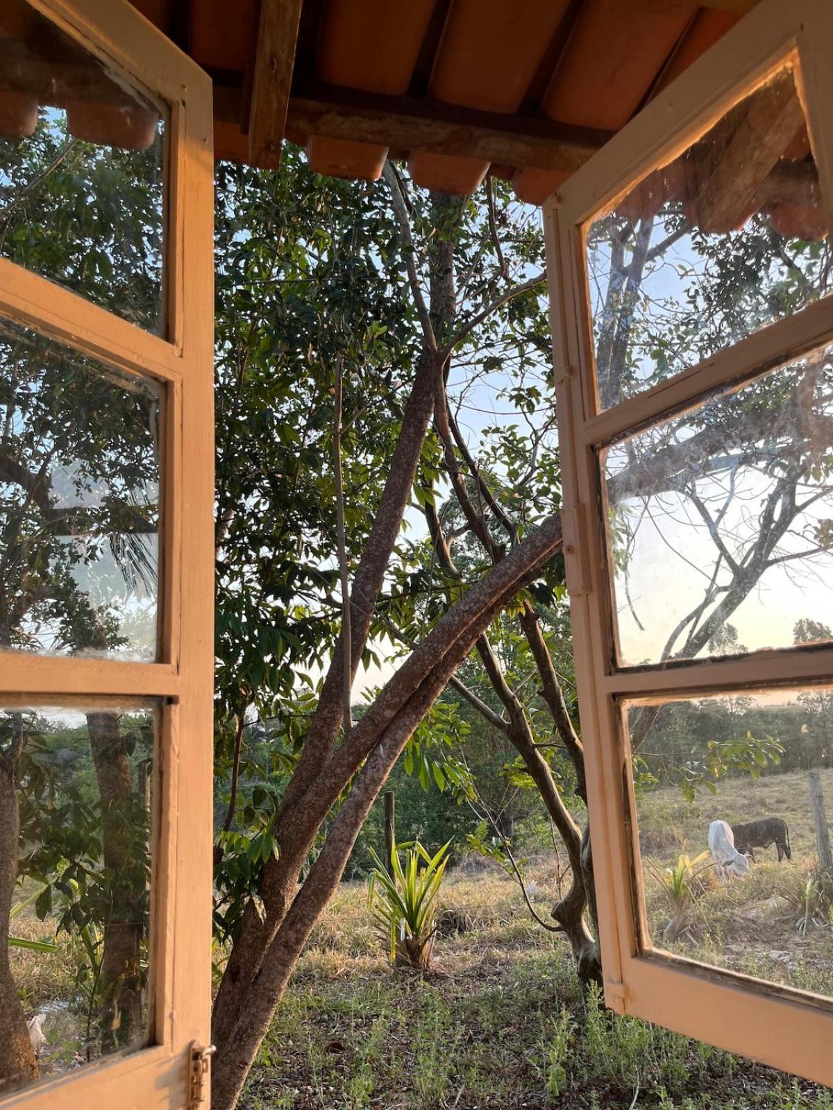 Casa De Barro Em Fazenda Regenerativa Na Bahia * Porto Seguro