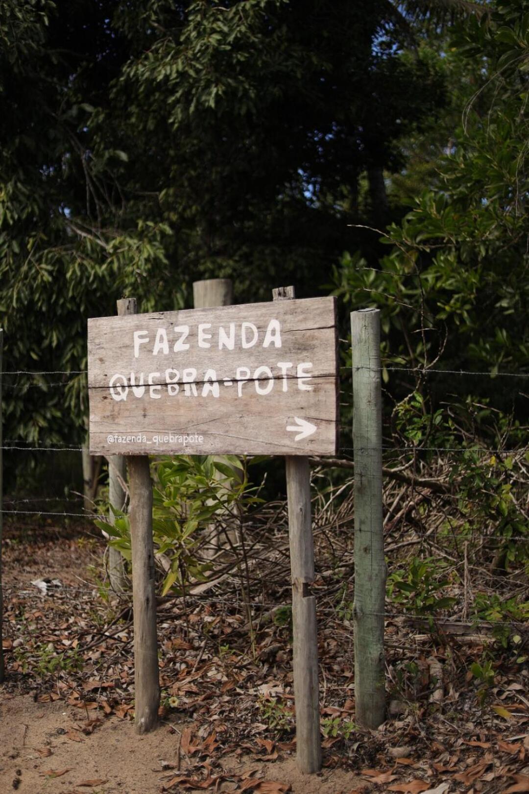 Casa De Barro Em Fazenda Regenerativa Na Bahia * Porto Seguro